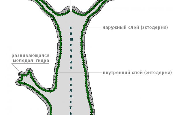 Кракен актуальная