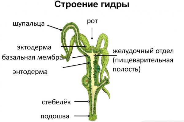 Сайт тор кракен